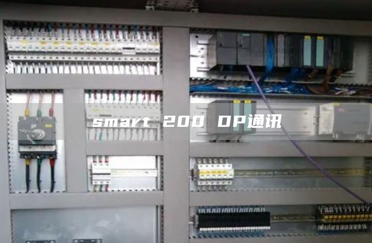 smart 200 DP通讯