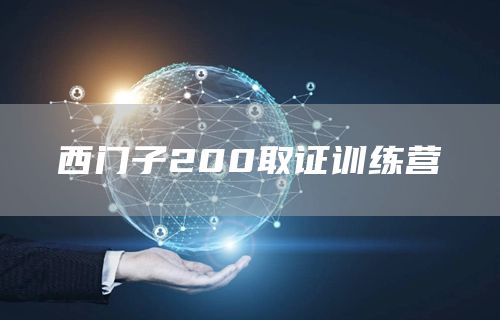 西门子200取证训练营