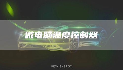 微电脑温度控制器