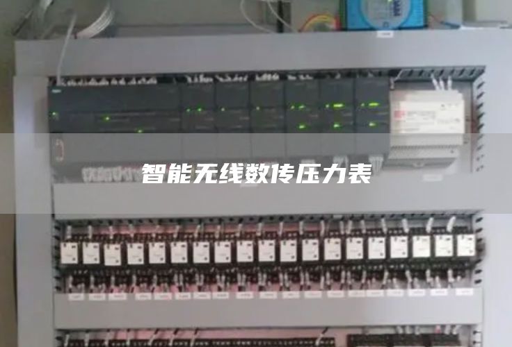智能无线数传压力表