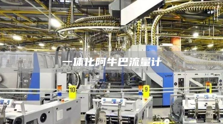 一体化阿牛巴流量计