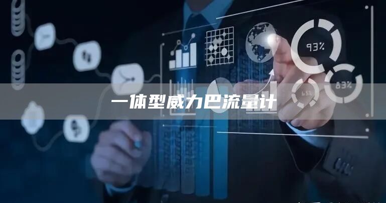 一体型威力巴流量计