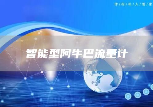 智能型阿牛巴流量计