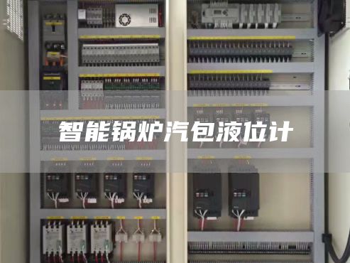 智能锅炉汽包液位计