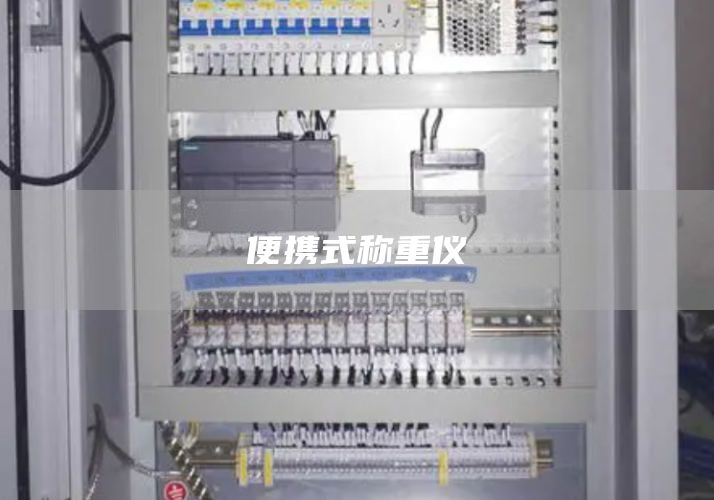 便携式称重仪