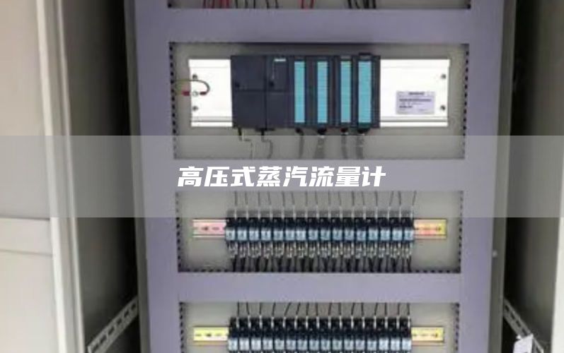 高压式蒸汽流量计