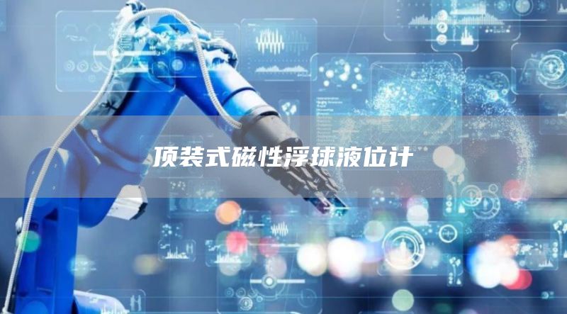 顶装式磁性浮球液位计