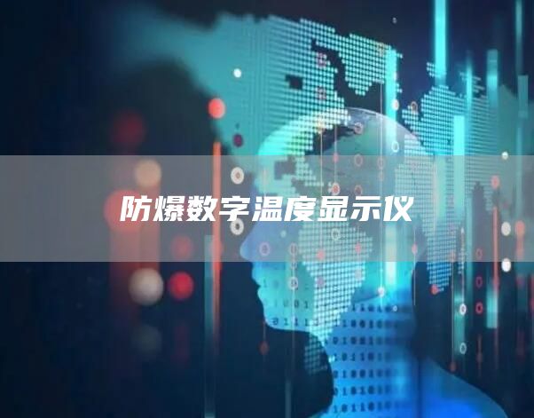 防爆数字温度显示仪