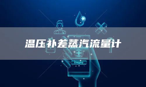 温压补差蒸汽流量计