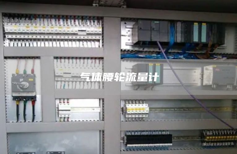 气体腰轮流量计