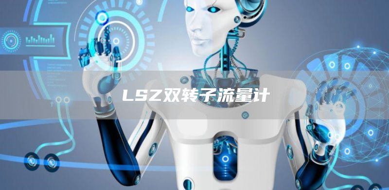 LSZ双转子流量计