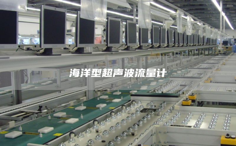 海洋型超声波流量计