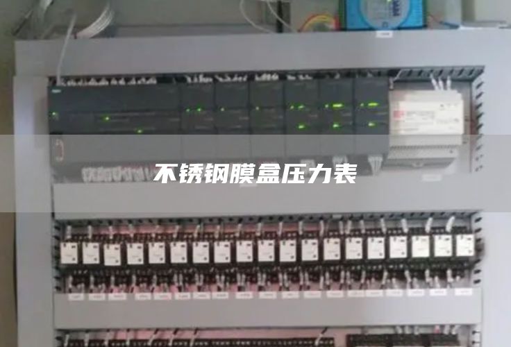不锈钢膜盒压力表