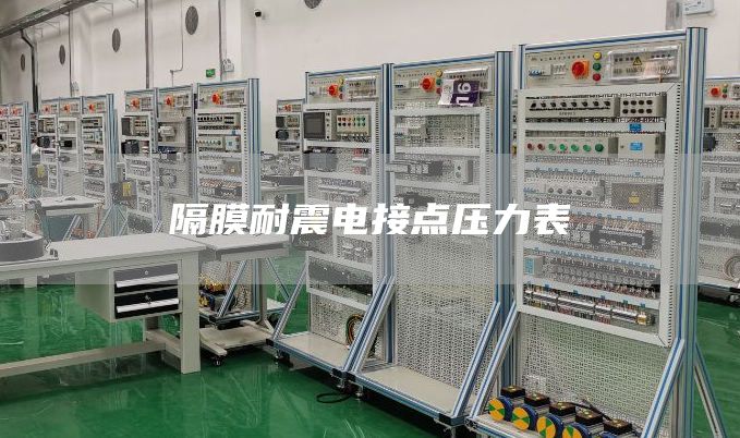 隔膜耐震电接点压力表