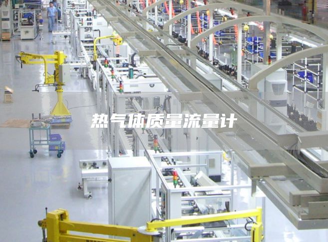 热气体质量流量计