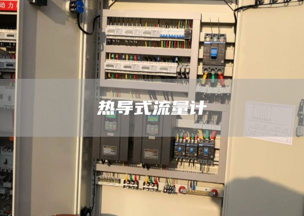 热导式流量计