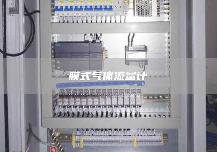 膜式气体流量计