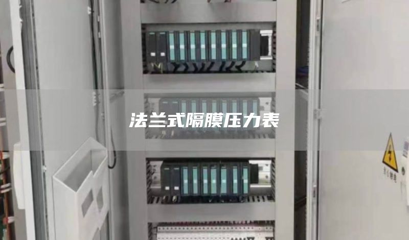 法兰式隔膜压力表
