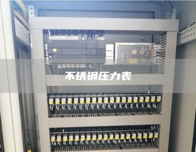 不锈钢压力表
