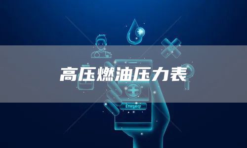 高压燃油压力表
