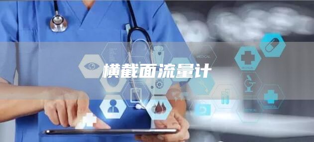 横截面流量计