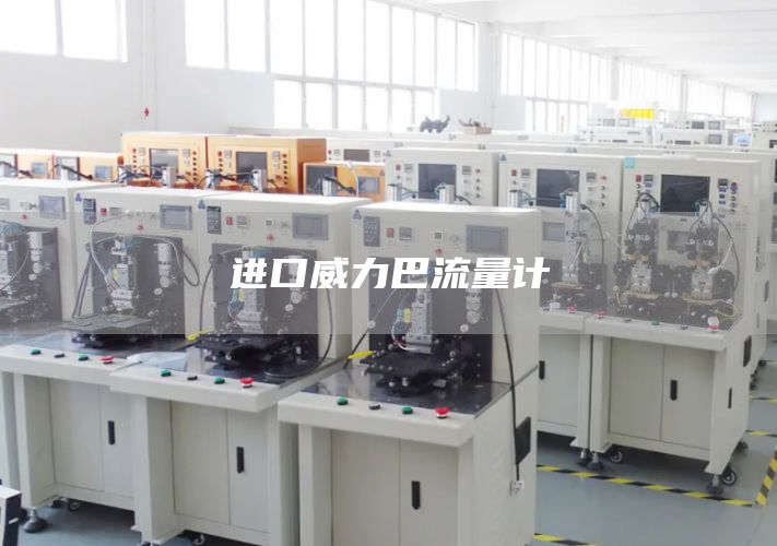 进口威力巴流量计