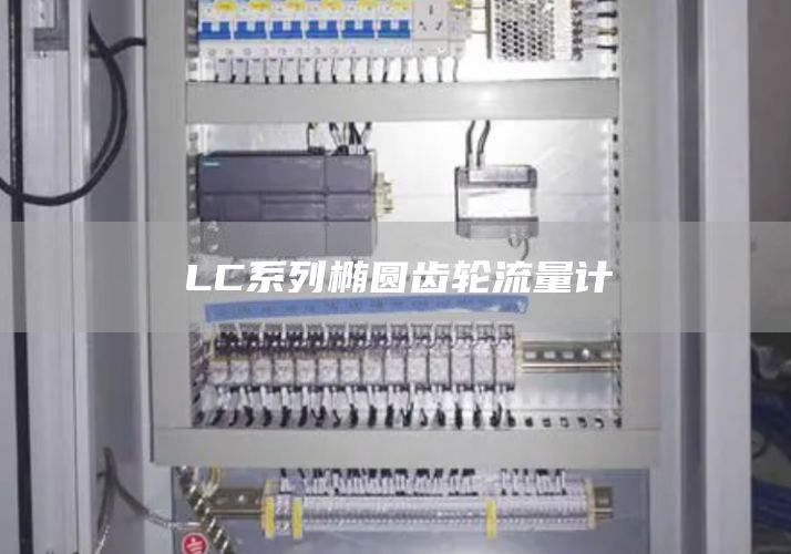 LC系列椭圆齿轮流量计