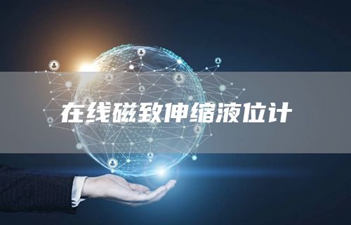 在线磁致伸缩液位计