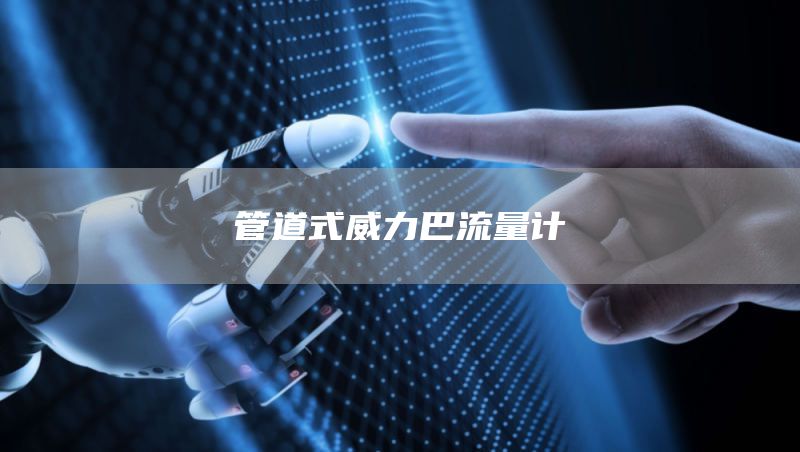 管道式威力巴流量计