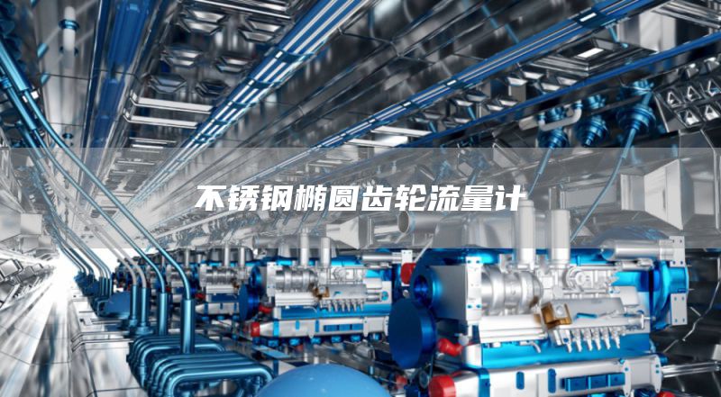 不锈钢椭圆齿轮流量计