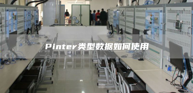 Pinter类型数据如何使用