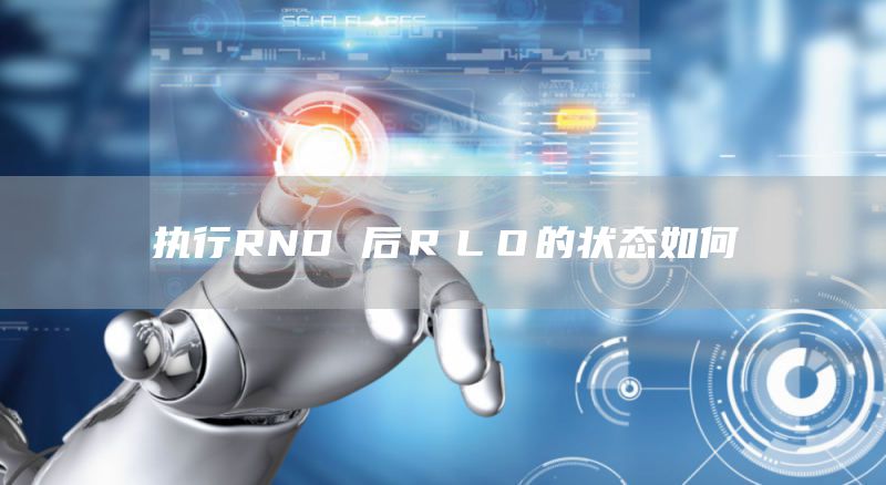 执行RND 后ＲＬＯ的状态如何