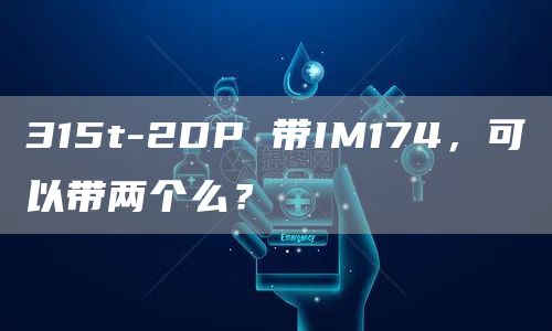 315t-2DP 带IM174，可以带两个么？