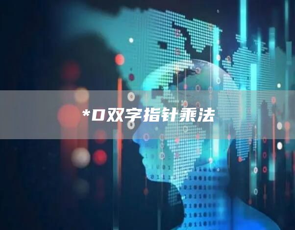 *D双字指针乘法