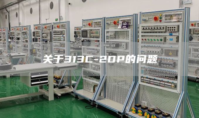 关于313C-2DP的问题
