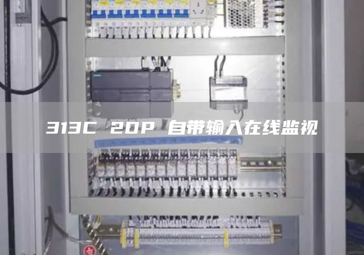 313C 2DP 自带输入在线监视