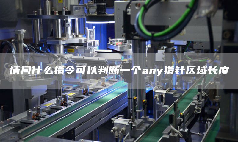 请问什么指令可以判断一个any指针区域长度