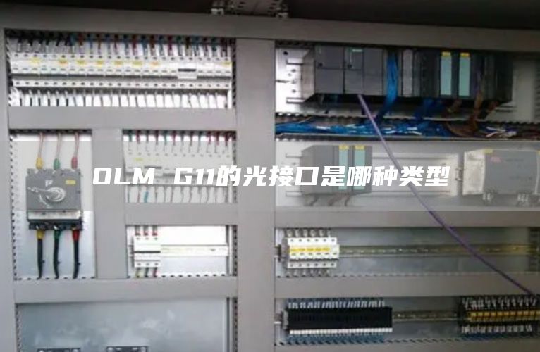 OLM G11的光接口是哪种类型