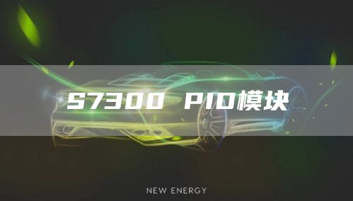 S7300 PID模块