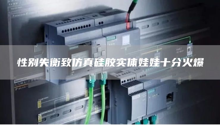 性别失衡致仿真硅胶实体娃娃十分火爆